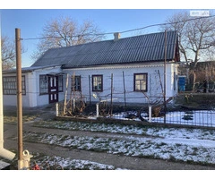 Продаж будинку в с. Помічна  Новоукраїнського району  Кіровоградської області - 10