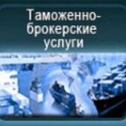 Олена Соколова